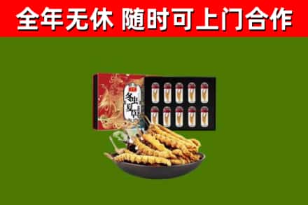 邯郸回收冬虫夏草价格